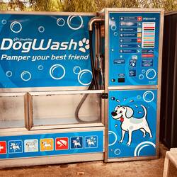 Carwash meets Dogwash🙈
