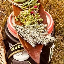 Bush Food - alles essbar