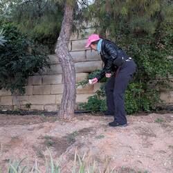 Deanne spreading Stevie's ashes in a park. He was our Maltese dog.