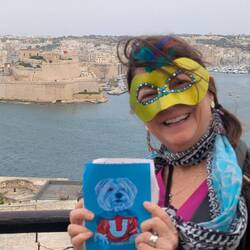 An homage to our Maltese dog, Stevie