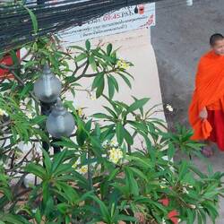 Und auf der anderen Straßenseite der Tempel