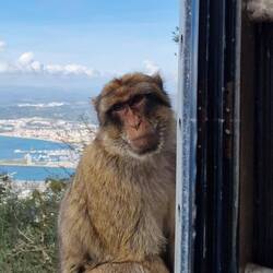 Tschühüss! 👋🏼