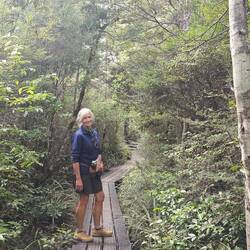 ...& some manufactured walkways.