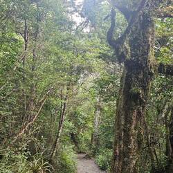 ...some wooded paths...