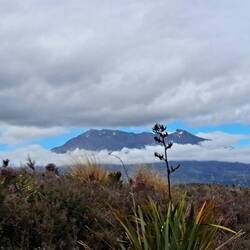 This IS our Pic of Mt Tongariro (L) & Mt Ngaurauhoe (R; aka: Mt Doom) from the car.