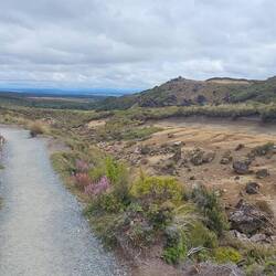 The return loop was more of an 'open fields' terrain.