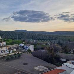 Olivenbäume im Hintergrund, Haupteinnahmequelle