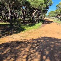 Auf einem anderen Weg Richtung Monte Gordo