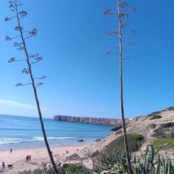 Blick zum Miradouro do Cabo Sagres