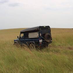 Es gibt fast nur noch Gras und Hügel...