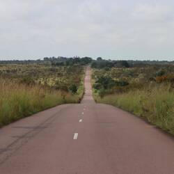 ...und es wird steppiger