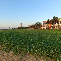 Am Meeresstrand...