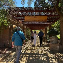 Entering Matetic winery