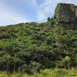 C'est parti pour une rando mémorable dans la jungle...