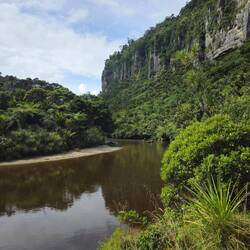 ... en empruntant Pororari river track