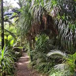 Welcome to the jungle