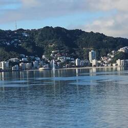 Goodbye Wellington