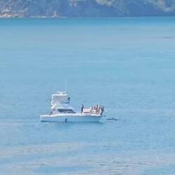 It was fun watching some dolphins playing near a smaller boat nearby.