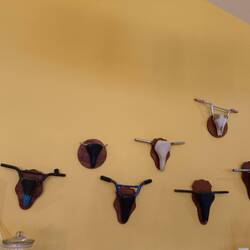 Spezielle Jagdtrophäen....