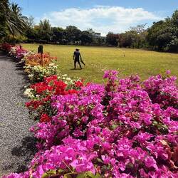 The gardens were gorgeous; there were flowers throughout the dining room and bar
