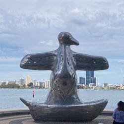 Pinguin? Falke? Adler? Condor?