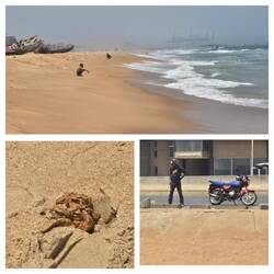 Am Strand kacken und am Straßenrand urinieren ist hier ganz normal