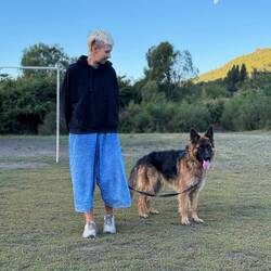 Morgenspaziergang mit Hugo