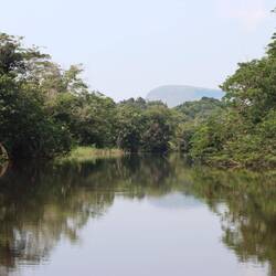 ...der stellenweise pechschwarz ist