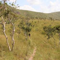 Der Weg führt durch die Steppe...