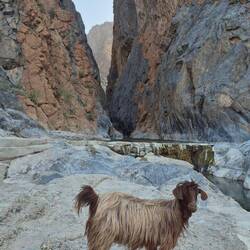 Snake Canyon [Ausgang]