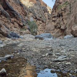 Snake Canyon [Eingang]