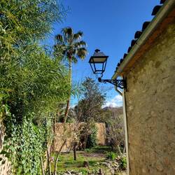 Noch in Benaoján.