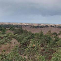 ...der Blick vom Aussichtsturm bis zum Meer auch.