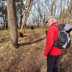....komm Frodo, sei ohne Furcht.☝️