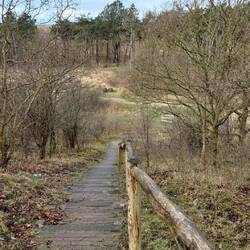 Ich musste allein zum Aussichtspunkt.