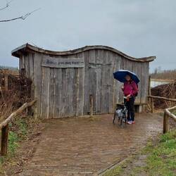Die Vogelbeobachtungshütte....