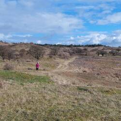 Die Dünen sind wunderbar.....