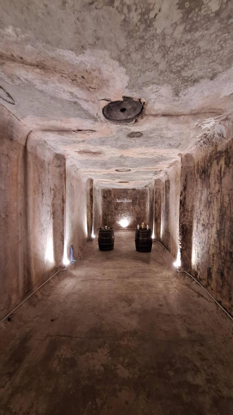 A concrete tank once used to ferment grape juice, now they paint the sides to keep the concrete out!