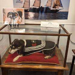 The stuffed ship's dog was a bit of a surprise.