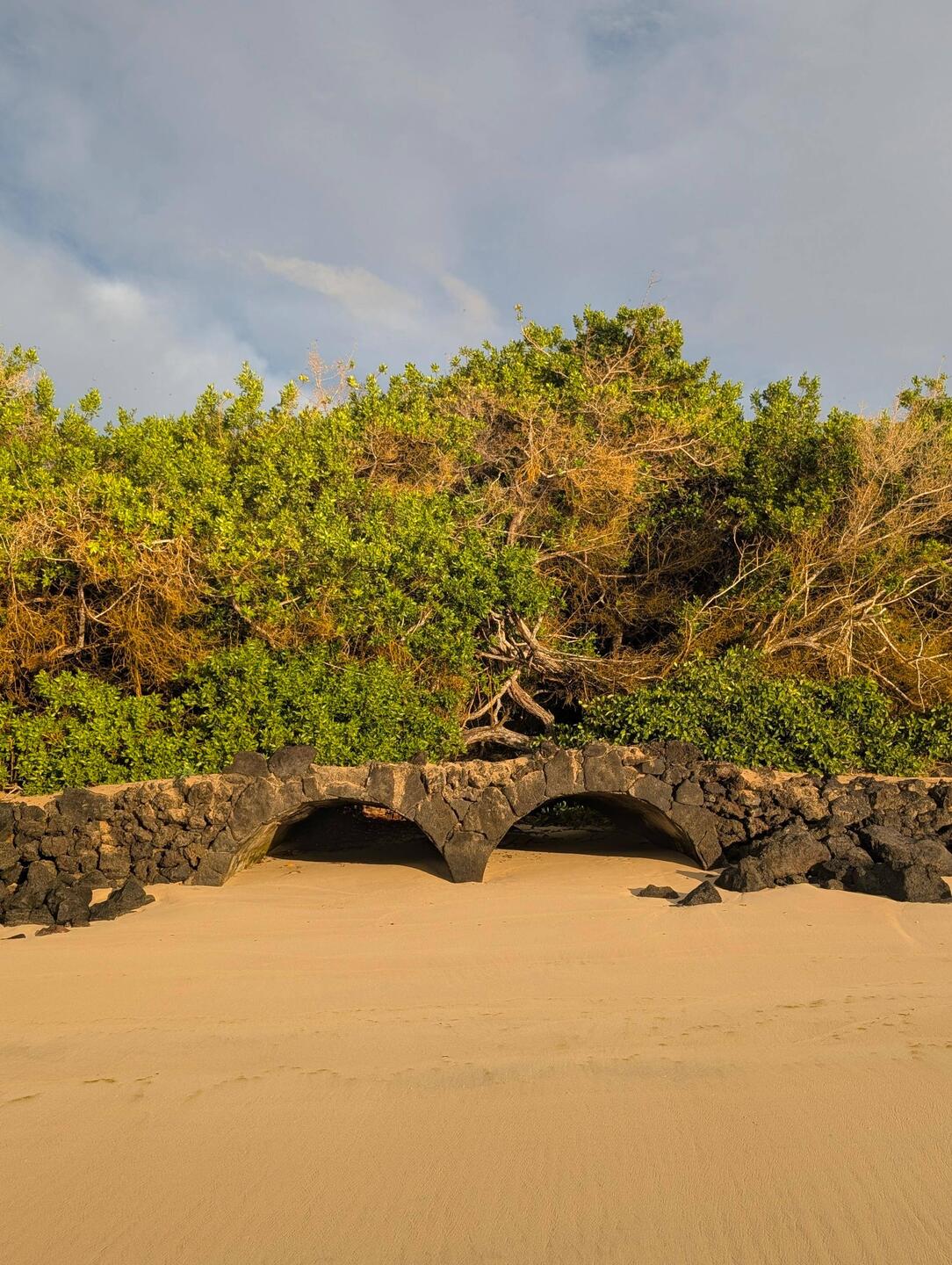 Am Turtle-Strand
