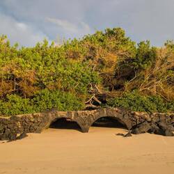 Am Turtle-Strand