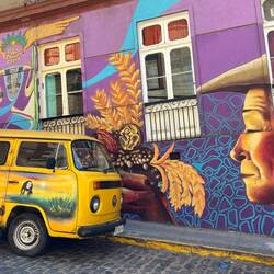 The van fit the scene