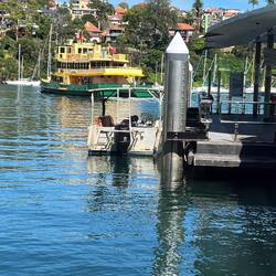 Abschied von Mosman und unserer Fähre