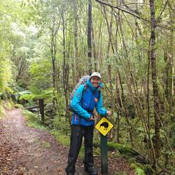 Attention aux Kiwis, mais les coquins qu'on entend la nuit ne se montre pas malgré nos recherches