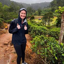 Little Rain on our way to Ella Rock.. Passing tea plants