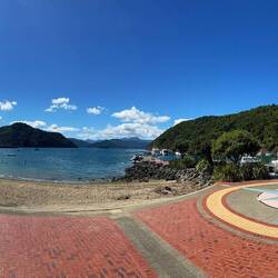 Wieder in Picton, um auf unsere Fähre zu warten und noch ein paar Sonnenstrahlen abzugreifen