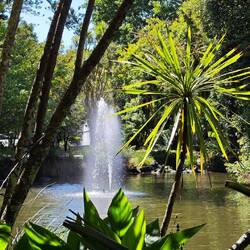 Auckland Domain