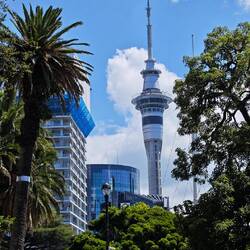 Albert Park / Sky Tower / Auckland