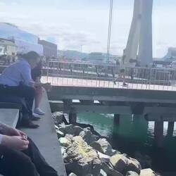 Mittagspause am Hafen