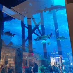 Der Eingang zum Aquarium